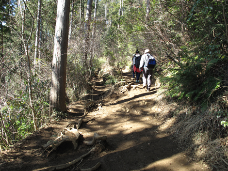 20160226hike (92)